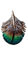 Leather Peacock Breast Feather This Leather Peacock Breast Feather was a fun feather to create. The colors are exquisite.