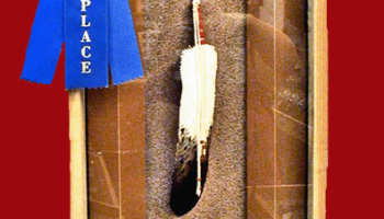 Leather 10 inch Immature Golden Eagle Tail Feather with four 2 inch accent feather in a shadow box.