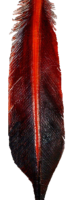 Leather Feather Red Shafted Flicker Tail Feather Leather Red Shafted Flicker Tail Feather, with pale orange on the back and orange and brownish black on the front. The Red Orange quill sets off the front.